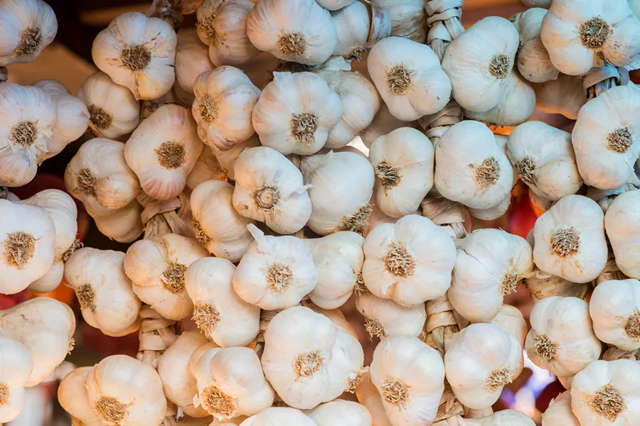 ویژگی‌های سیر تازه و باکیفیت