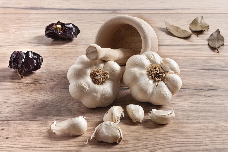 چگونه سیر تازه را تشخیص دهیم؟