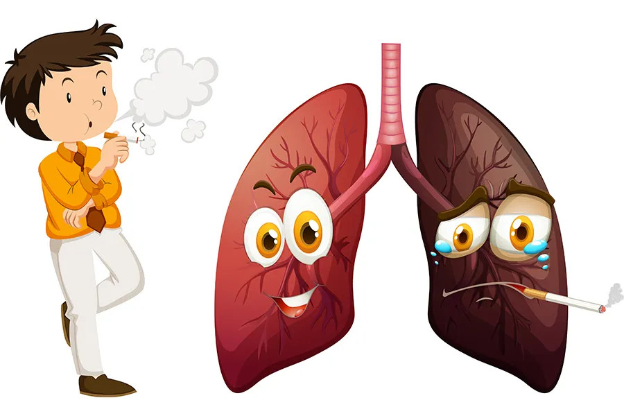 نیکوتین چیست و در کجا یافت می‌شود؟